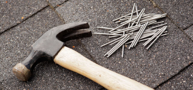 Pest Control NJ Pest Control NJ